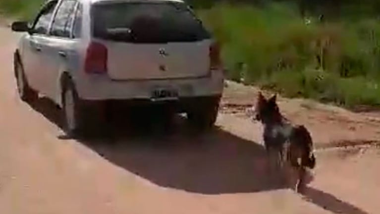El video del perro arrastrado por el auto provocó indignación en las redes sociales.