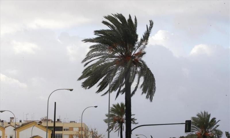 El viento complicará las tardes en buena parte de la provincia.