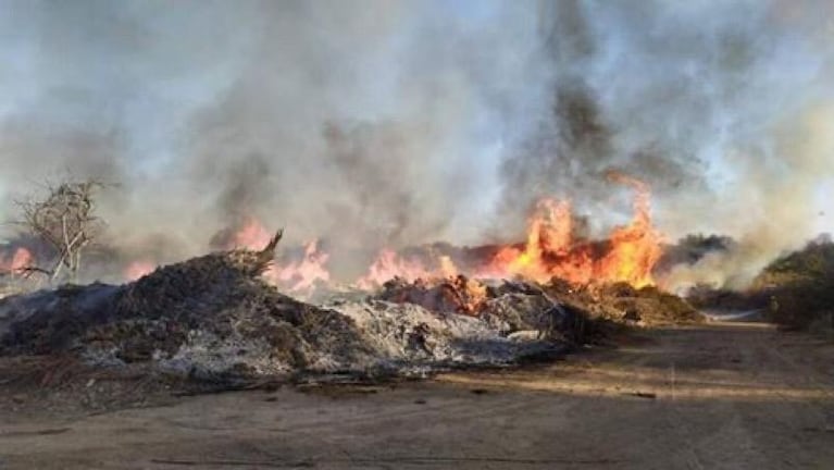 El viento del norte, las altas temperaturas y la sequía elevan el riesgo de fuego en toda la provincia.