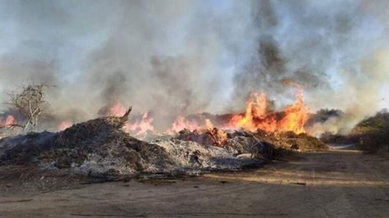 El viento del norte, las altas temperaturas y la sequía elevan el riesgo de fuego en toda la provincia.