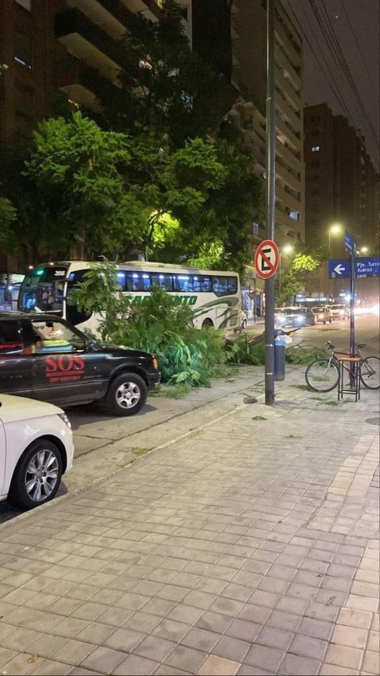 El viento sur llegó a Córdoba y causó múltiples destrozos