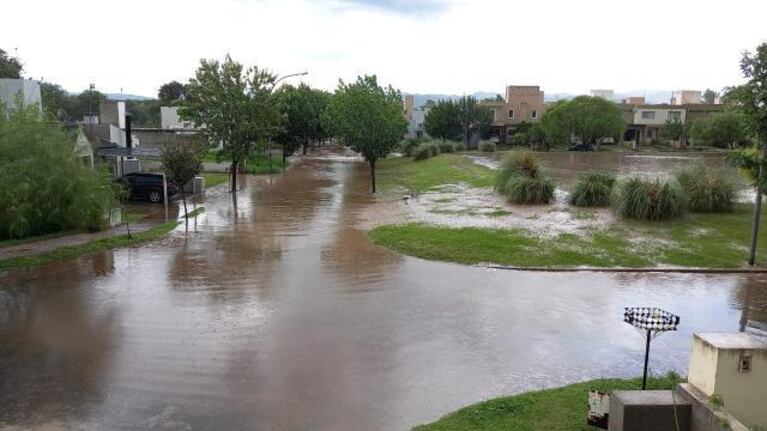 El viento y la lluvia causaron destrozos en barrios de la ciudad.