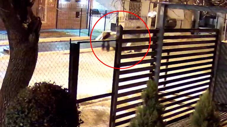 El violento asalto quedó filmado por las cámaras de una vivienda.