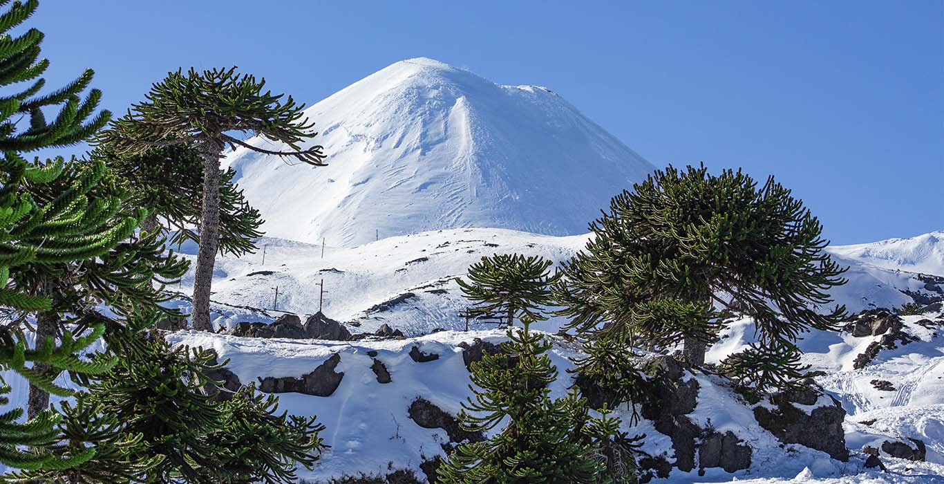 El volcán Llaima es uno de los más activos del país trasandino.