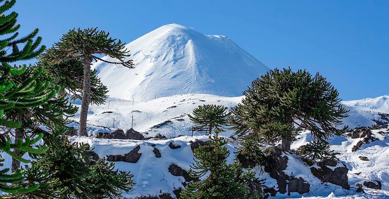 El volcán Llaima es uno de los más activos del país trasandino.