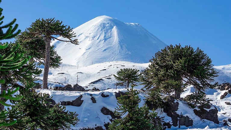 El volcán Llaima es uno de los más activos del país trasandino.