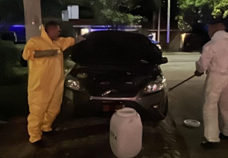 El zorrino estaba en la zona del motor de un auto.
