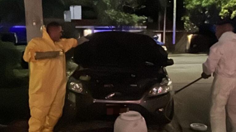 El zorrino estaba en la zona del motor de un auto.
