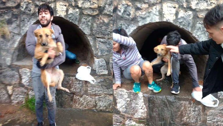 Emocionante rescate de una perra atrapada en la Cañada