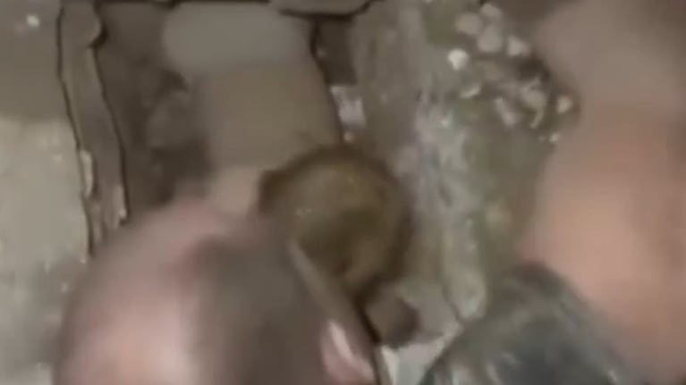 Emotivo rescate de una bebé entre los escombros.