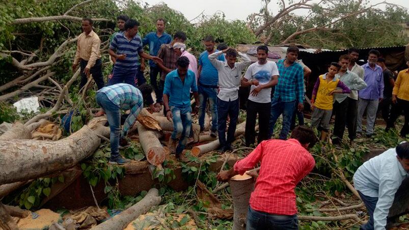 En Alwar, la gente saca los troncos de árboles arrancados por la tormenta. Foto: Reuters