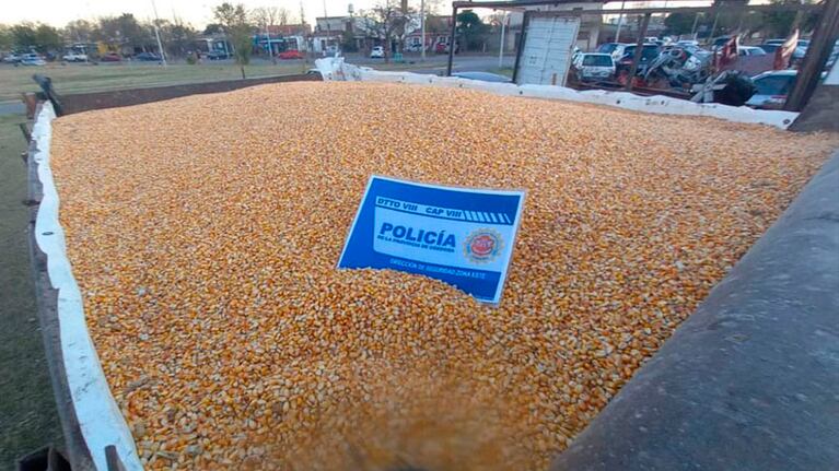 En cinco camiones se llevaron todo el maíz.