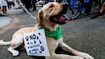 En Colombia hubo manifestaciones contra el maltrato animal.