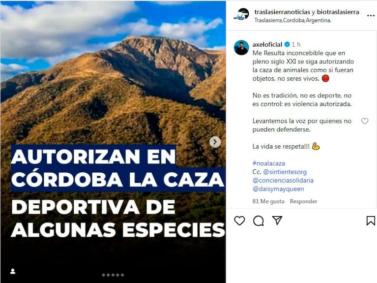 En Córdoba se autorizó la caza deportiva de ciervos y jabalíes: los motivos 