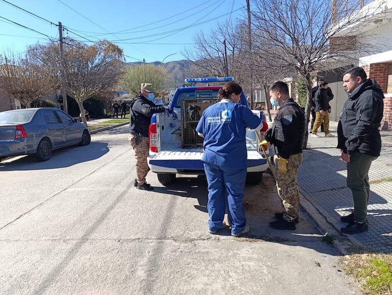 En Cosquín desbarataron un criadero clandestino de perros. (Imagenes Carlos Paz Vivo).
