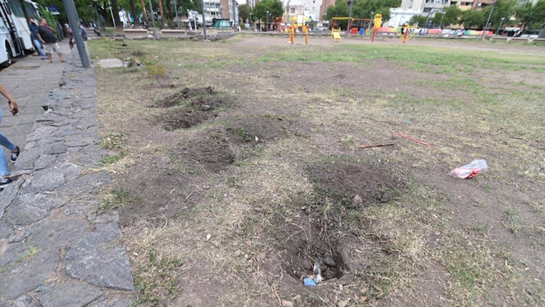 En dos semanas, desaparecieron los plantines de la plaza. Foto: Municipalidad de Córdoba.