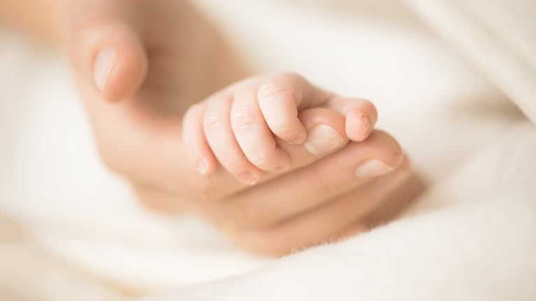 En el año se inscribieron 14.473 nacimientos en la ciudad.