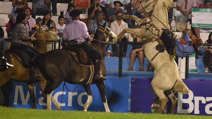 En el campo comenzaron los desafíos entre los caballos y los domadores. Foto: Lucio Casalla / ElDoce.tv.