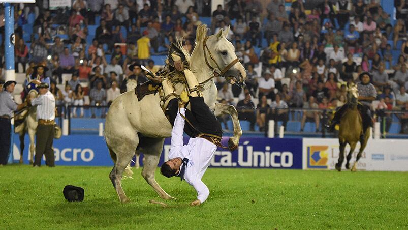 En el campo comenzaron los desafíos entre los caballos y los domadores. Foto: Lucio Casalla / ElDoce.tv.