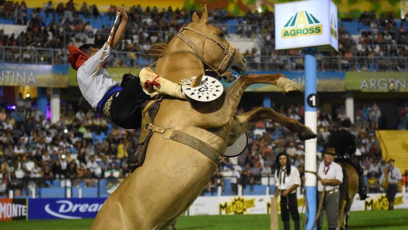 En el campo comenzaron los desafíos entre los caballos y los domadores. Foto: Lucio Casalla / ElDoce.tv.