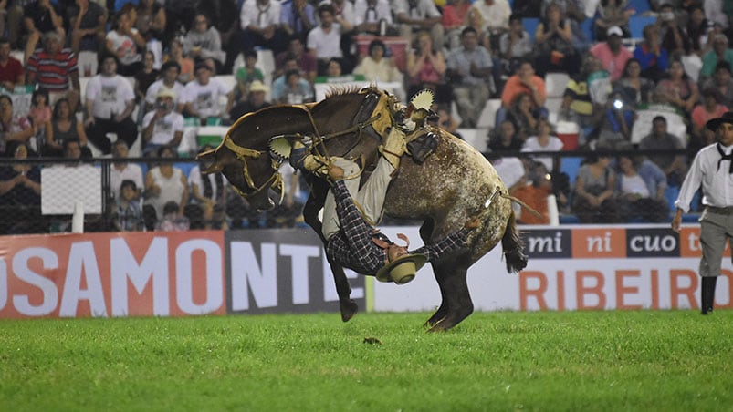 En el campo comenzaron los desafíos entre los caballos y los domadores. Foto: Lucio Casalla / ElDoce.tv.