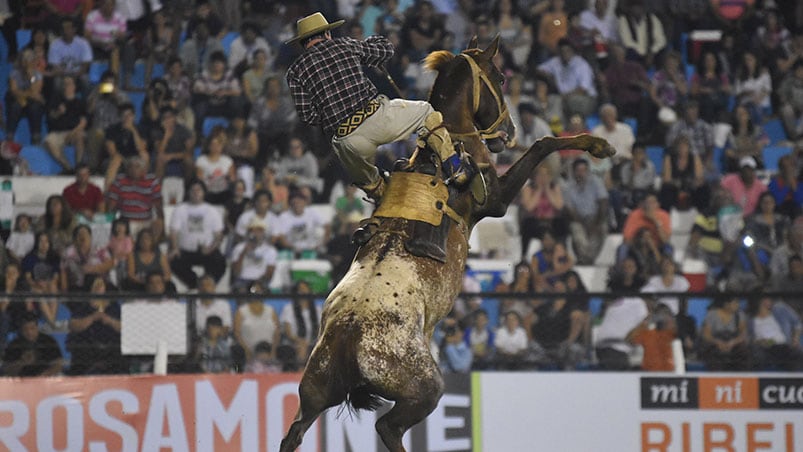 En el campo comenzaron los desafíos entre los caballos y los domadores. Foto: Lucio Casalla / ElDoce.tv.