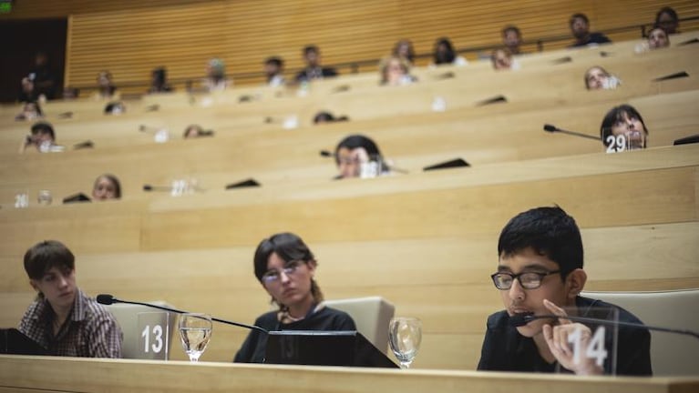 En el cierre de año del Consejo Provincial Adolescente, unos 80 jóvenes debatieron en la Legislatura