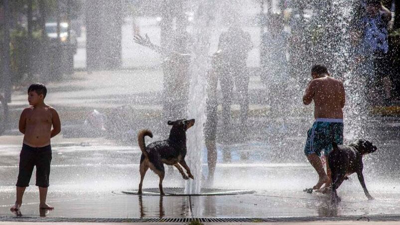 En enero de 2022 se vivieron jornadas de intenso calor. 