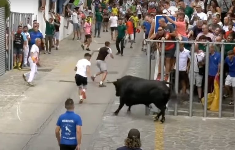 En España un hombre murió luego de ser corneado por un toro en unas fiestas típicas.