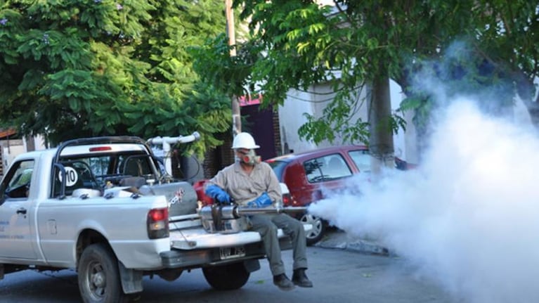 En febrero se hicieron fumigaciones en Córdoba contra el Aedes aegypti.