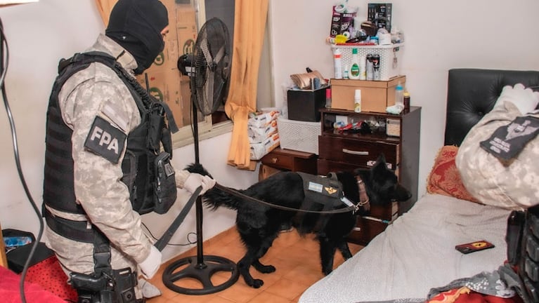 En los allanamientos utilizaron perros detectores de narcóticos.