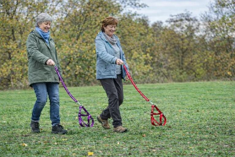 En qué consiste la nueva tendencia de pasear perros imaginarios.