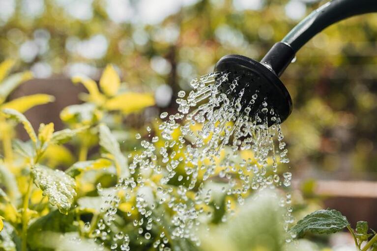 ¿En qué consumimos más agua?