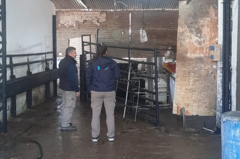 En Villa Nueva clausuraron un frigorífico clandestino.