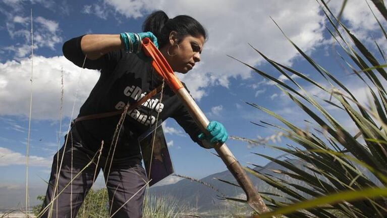 Encontraron 4.600 partes de cadáveres en un campo de exterminio