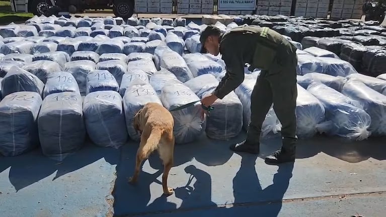 Encontraron 7 mil kilos de coca en un camión ( Foto: Gendarmería)
