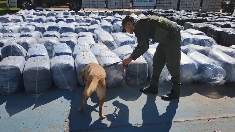 Encontraron 7 mil kilos de coca en un camión ( Foto: Gendarmería)