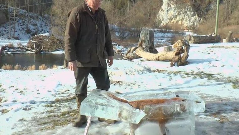 Encontraron a un zorro congelado tras la ola de frío en Europa