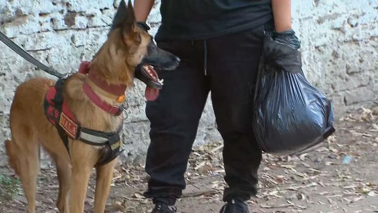 Encontraron rastros de la mujer desaparecida en Buenos Aires y la buscan con vida