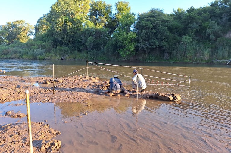 Encontraron restos de un gliptodonte en Pampayasta.