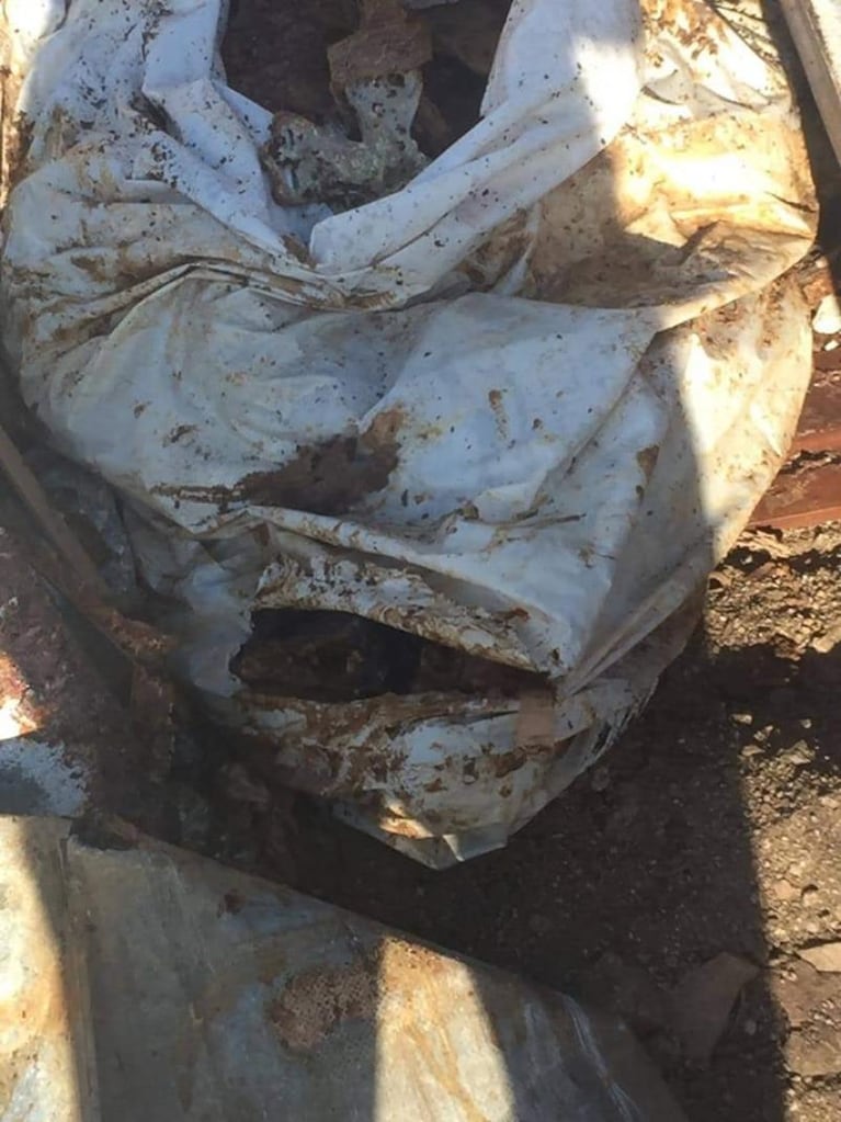 Encontraron restos humanos detrás del cementerio de La Calera: qué dijeron desde la Municipalidad