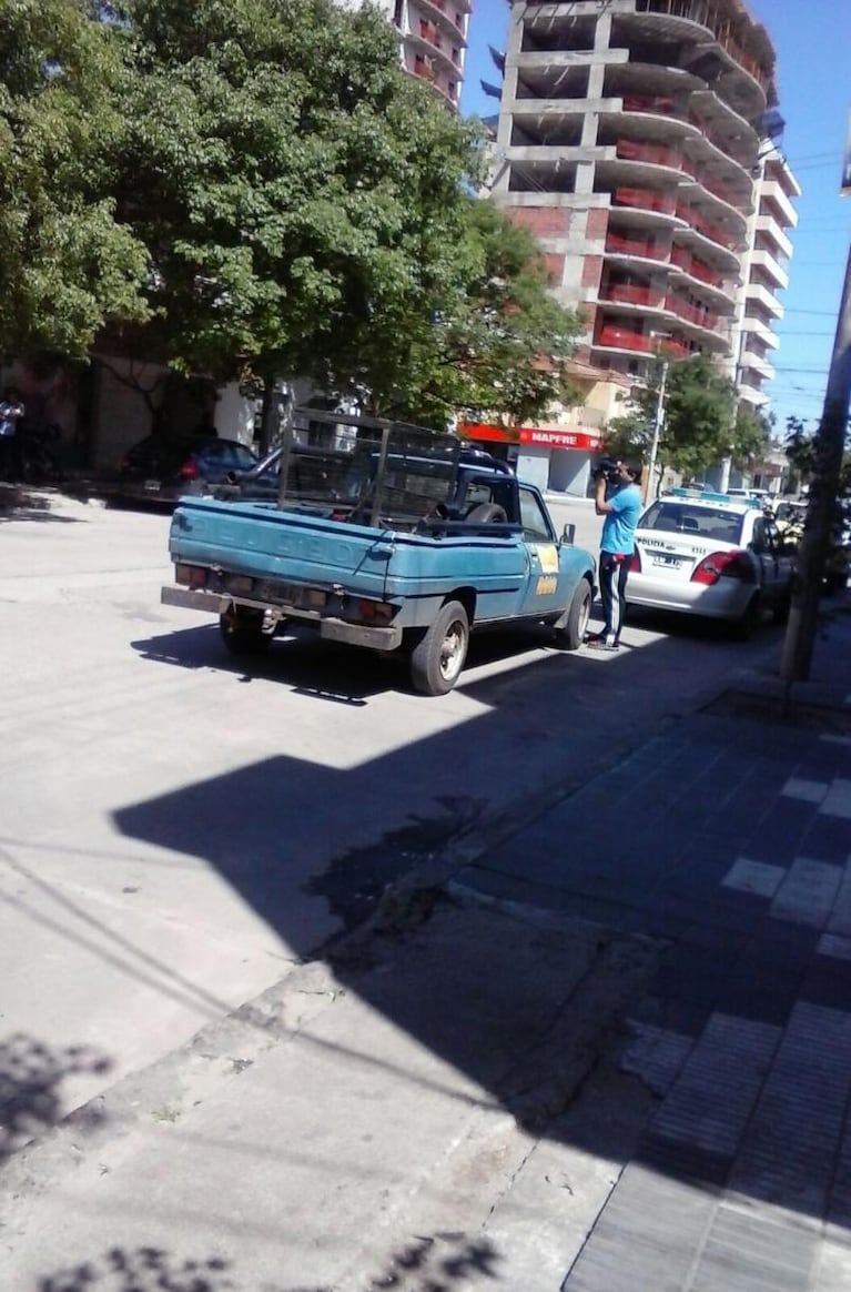 Encontraron un Puma en el lavadero de su casa