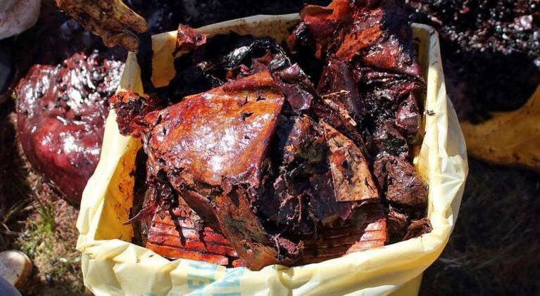 Encontraron una ballena muerta con 22 kilos de plástico en su estómago
