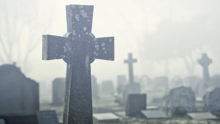 Encontraron una planta de marihuana en el cementerio de San José de la Dormida.
