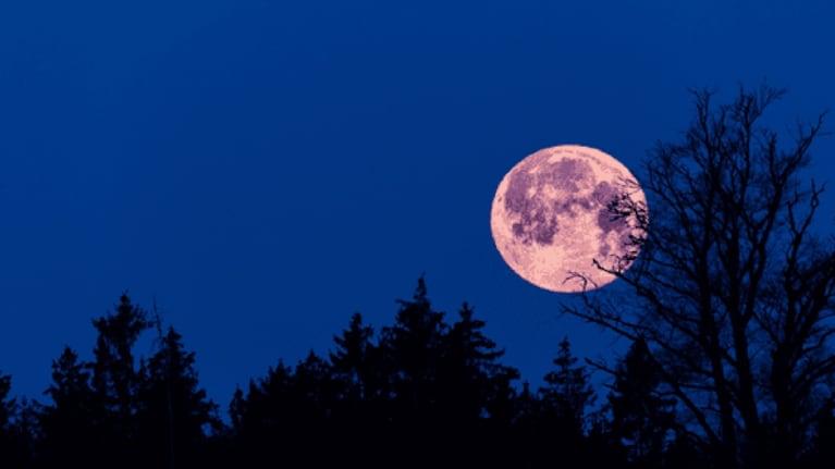 Energía: cómo afectan las distintas fases lunares en el mes de abril
