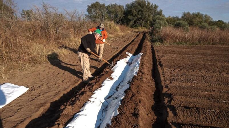 Entre abril y septiembre del 2020 generaron el equivalente a 126.000 platos de comida.