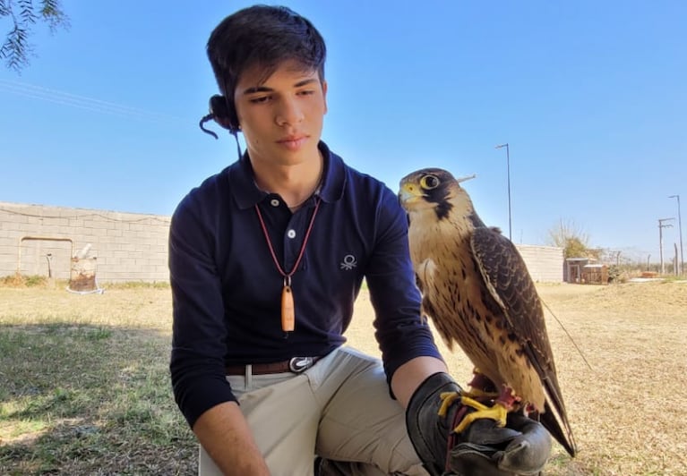 Entrenar aves de presa para cazar: cetrería, una práctica antigua que crece en Córdoba