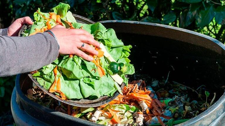 Enviado a la basura: se desperdician millones de toneladas de alimentos por año