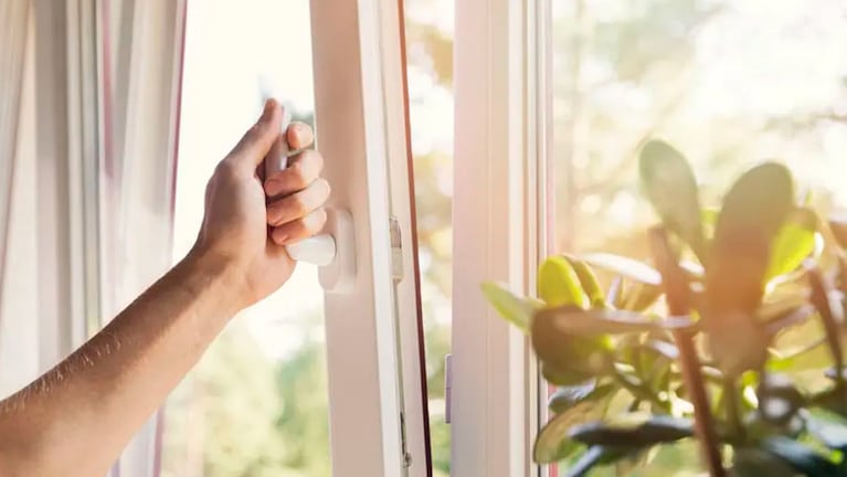 Es temporada de alergias: tips para limpiar la casa y evitarlas