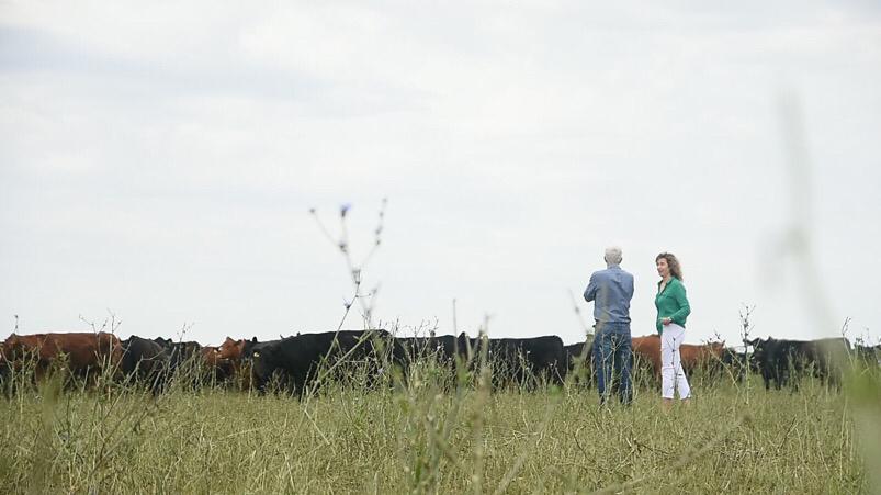 “Es un sistema de pastoreo racional de la tierra", comentaron quienes trabajan en el lugar.